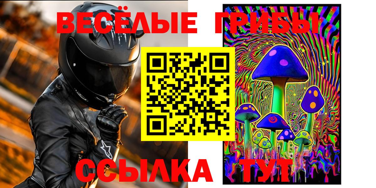 Мыски  Галлюциногенные грибы Psilocybe  Вход с VPN 